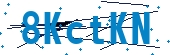recaptcha