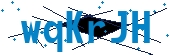recaptcha