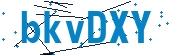 recaptcha